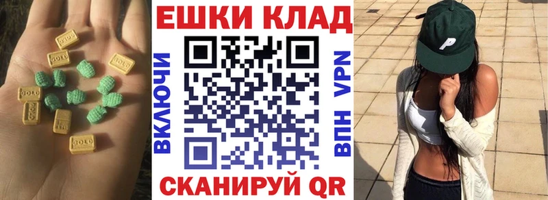 ЭКСТАЗИ диски  где купить наркоту  Новомичуринск 