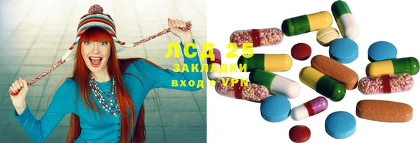 PSILOCYBIN Весьегонск