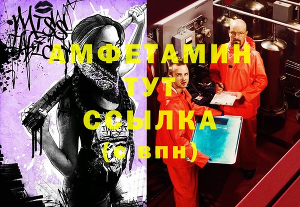 сатива Новодвинск
