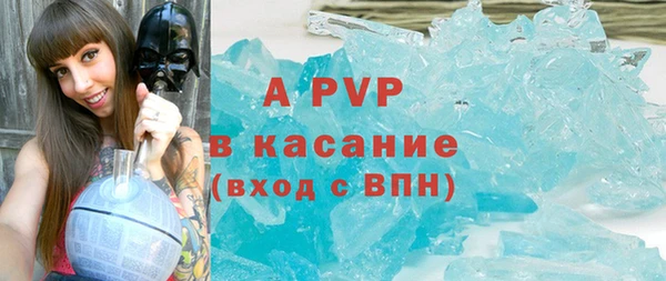 PSILOCYBIN Весьегонск