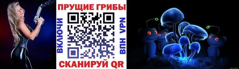 Псилоцибиновые грибы MAGIC MUSHROOMS  что такое наркотик  Новомичуринск 
